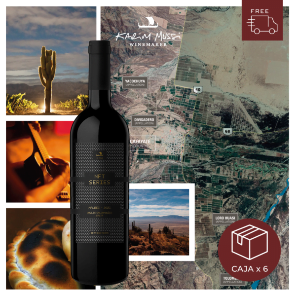 NFT Series 1 Malbec 2021 Valles De Calchaquies